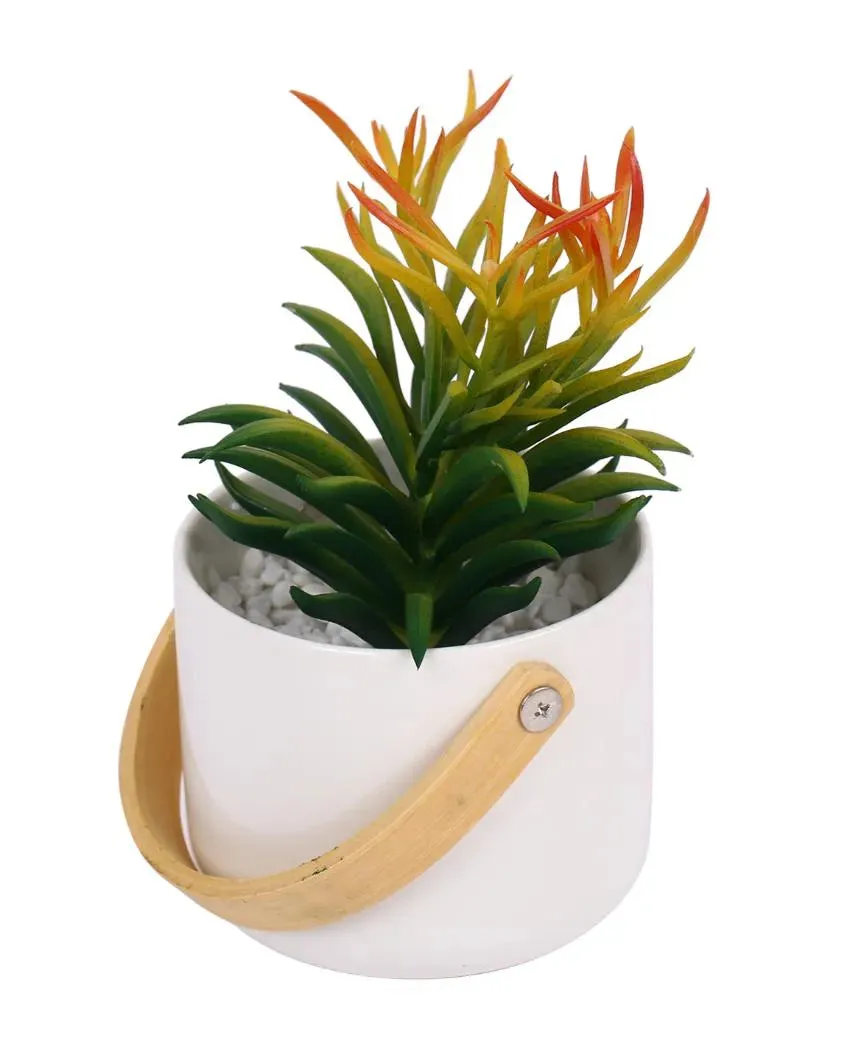 Oasis Succulents Artificial Plant with Ceramic Pot | 6 inches