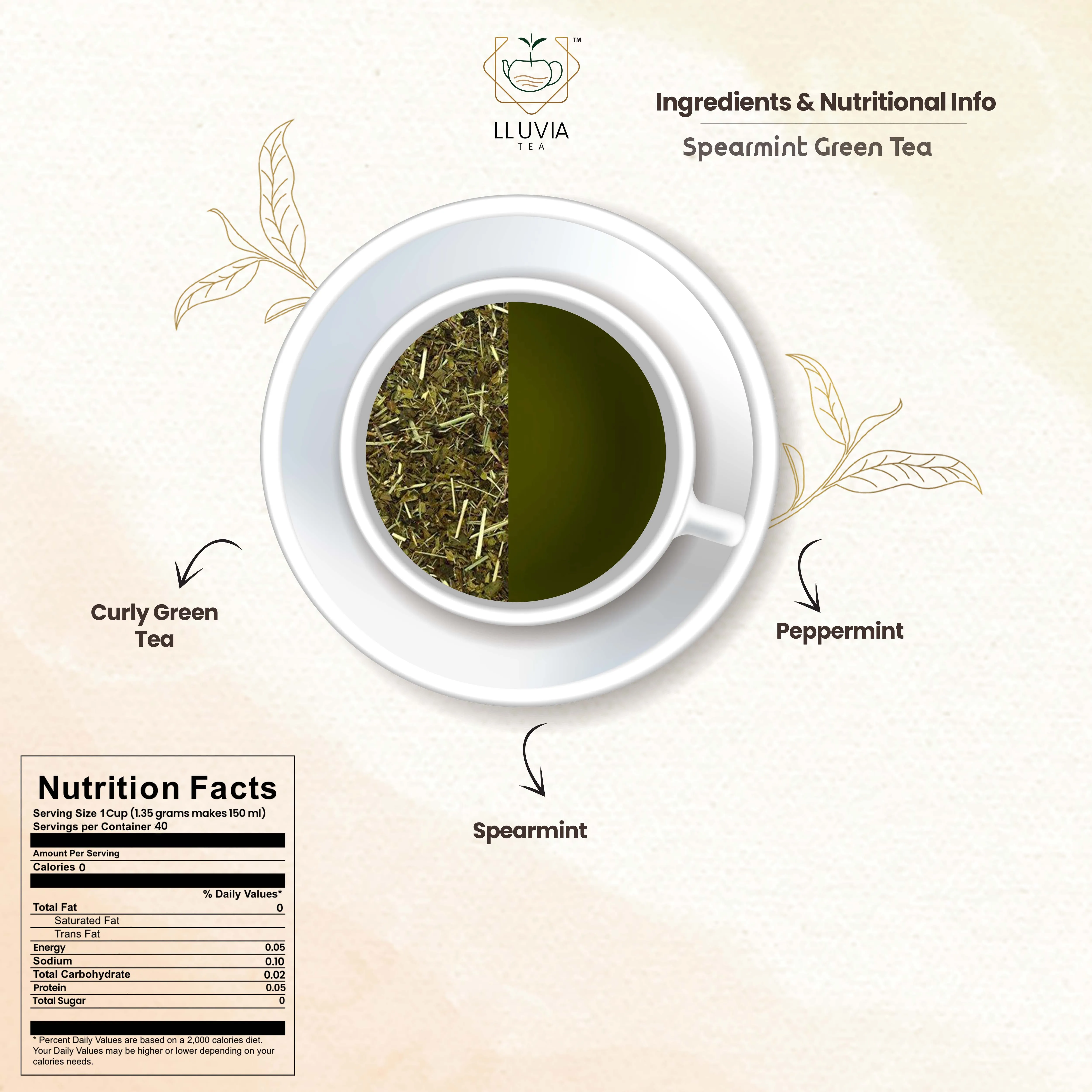 Spearmint green tea| balance hormones & improve digestion| 50 gms